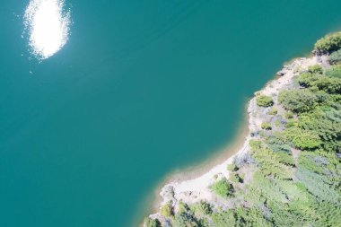 Ormanda, turkuaz nehrinin kenarında büyüyen ağaçların havadan görünüşü