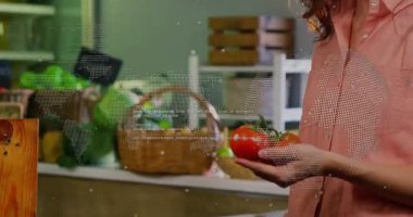 Sepetten olgun domates toplayan bir kadın ve akıllı telefon ile gıda perakendecisi taraması başlatılıyor. Taze ürün, sağlıklı yaşam tarzı, perakende alışveriş, dijital teknoloji, tarladan sofraya, tüketici seçimi, canlı renkler