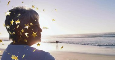 Sahilde beliren köpek, teknolojide yıldız gibi gezinen bir kadınla buluşmak için yaklaşıyor. Dinginlik, dostluk, sükunet, rahatlık, yansıma, doğal, duygusal