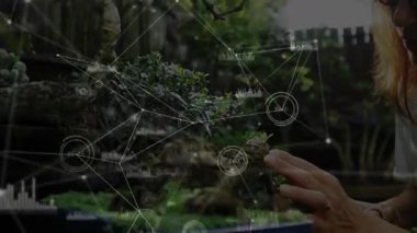 Bahçıvan bonsai 'ye dokunuyor ve arka bahçede buduyor. Renklendirme düğümleriyle şekillendiriyor. Bahçecilik, dijital büyütme, sükunet, işçilik, doğalcılık, botanik, açık hava