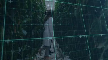 Tarım uzmanları seraya girip biber örtüsünü tararken dijital şebeke de büyümeyi izliyor. Tarım sektörü, sürdürülebilir, gelecekçi, bahçıvanlık, işbirliği, teknoloji, yenilik