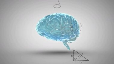 Beyin modeli, gri tabanda matematiksel kavramları gösteren notlar ortaya çıkarken dönmeye başlıyor. Dijital, eğitici, minimalist, soyut, bilimsel, analitik, kavramsal