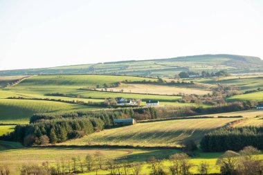 Scenic landscape with green hills