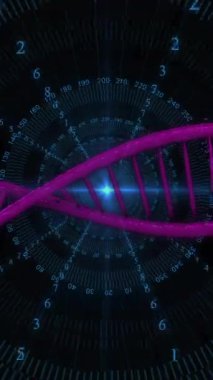 Siyah arka plandaki veri işleme üzerindeki DNA iplikçiklerinin animasyonu. Küresel teknoloji, bilgisayar ve dijital arayüz kavramı dijital olarak oluşturulmuş video.