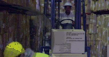 Forklift operatörü direksiyon yükü ve depo işçisi depo için raflara iki kutu boşaltıyor. Endüstriyel, lojistik, depolama, nakil, elle idare, otomasyon, takım çalışması