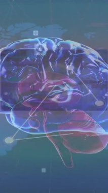 İnsan beyninin animasyonu, dünya haritasında veri işleme. küresel bilim, iş, bağlantılar ve dijital olarak oluşturulmuş video işleme konsepti.