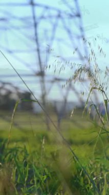 Elektrik direği ve peyzaj üzerindeki istatistik ve veri işleme animasyonları. küresel enerji, elektrik ve veri işleme kavramı dijital olarak oluşturulmuş video.