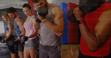 Halterleri kavramak, beden eğitimi partnerleri kas gücü için girerken biseptik kıvrımlar yapmak. Spor, güç, takım çalışması, egzersiz, motivasyon, atletik, egzersiz