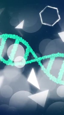 Aydınlatılmış mercek parlamaları üzerinde kimyasal formüllerle birlikte DNA sarmalının ve altıgenin animasyonu. Dijital olarak üretilmiş, çoklu maruz kalma, tıbbi, sağlık, molekül, soyut, kimya ve biyoloji kavramı.