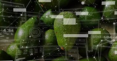 Dijital arayüz taraması ve avokado kümesi üzerindeki bozuk çubuklar taze verileri analiz ediyor. Teknoloji, tazelik, analitik, dijital, yenilik, kesinlik, modern