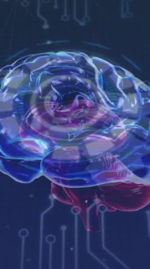 Entegre devre ve dünya haritası üzerinde dönen beynin animasyonu. küresel bağlantılar, insan zihni, teknoloji ve dijital arayüz konsepti dijital olarak oluşturulmuş video.