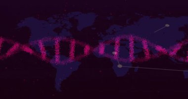 Pembe parçacıklar sarmal oluştururken mavi harita üzerinde başlayan düğümler kıtaları bağlıyor. Gelecekçi, teknoloji, bağlantı, ağ, küresel, ikili, yenilik