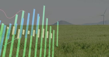 Çimenlerde beliren şeffaf çubuklar dalgalanan çizgilerle titreşiyor, türbin enerji verilerini gösteriyor. Veri, analitik, görselleştirme, yenilenebilirlik, sürdürülebilirlik, çevre, dijital