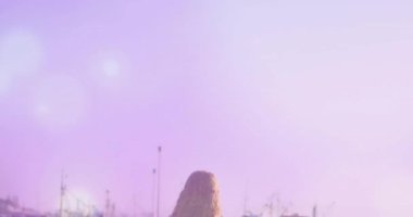 Kamera aşağı doğru kayıyor. Liman turizmini, Bokeh küreleriyle botların önünden geçen bir kadın olarak gösteriyor. Manzaralı, sakin, demirli, eski, atmosferik, boş, düşünceli.