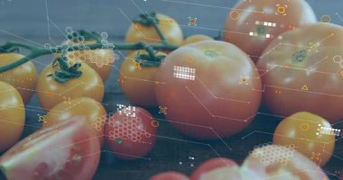 Açılışta domatesler kamera gibi üst üste biniyor dilimlenmiş iç kısımlara itiliyor tazeliği görselleştiriyor. Organik, üretim, taze, dijital, yenilikçi, sağlık, kırsal