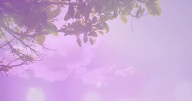 Sürüklenen lensler, siluetli çiftin eğilip balkon korkuluklarında pazarlama için öpüştüğünü gösteriyor. Romantik, siluet, alacakaranlık, sükunet, doğa, ahenk, açık hava