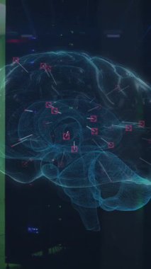 Sunucu odasındaki bağlantıların ve beynin animasyonu. Küresel teknoloji ve dijital arayüz konsepti dijital olarak oluşturulmuş video.