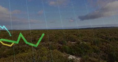 Scrubland, yeşil ve sarı çizgileri somutlaştıran, iz sürme eğilimlerini, titreyen cyan izlerini gösteriyor. Peyzaj, veri görselleştirme, fütürist, analitik, dijital, çevre, üretkenlik