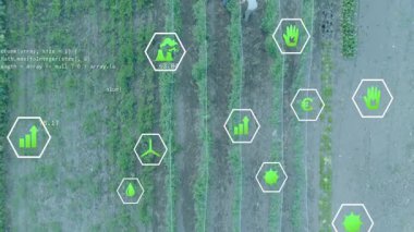 Ekin sıralarına giren işçiler üretim yaparken, animasyon büyüsü ölçümleri tarım verilerini güncelliyor. Tarım, sürdürülebilirlik, hassas tarım, çevre verileri, takım çalışması, açık hava, çevre dostu