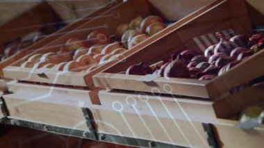 Kamera, portakal, soğan, avokado ve AR katmanlı stokları tarıyor. Üretim, tazelik, teknoloji, sürdürülebilirlik, perakende, tarım, dijital