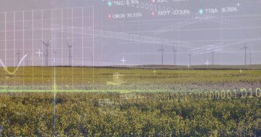 Displaying yellow flowering crop field covering farmland, with wind turbines and digital overlay. Agriculture, renewableenergy, datavisualization, sustainability, ecofriendly, technology, rural