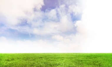 Mavi gökyüzü yeşil tarlanın üzerinde