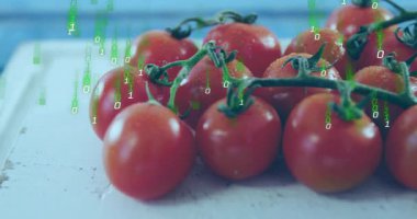Çeri domatesleri üst üste binen ikili kodları alıyor, kamera teknik demo için yakınlaşıyor. Üretim, tazelik, teknoloji, dijital, yenilik, minimalizm, sağlık