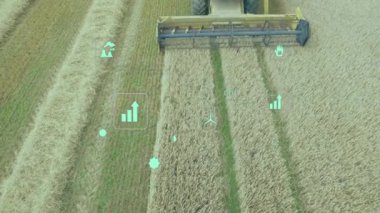 Uzaktan kumandalı araçlar ekin hasatçılarını birleştirirken AR simgeleri çevresel verileri izliyor. Tarım, sürdürülebilirlik, hassas tarım, dijital teknoloji, çevresel etki, ekin yönetimi, modern makine