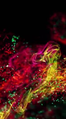 Çok renkli noktaların canlandırılması, siyah arkaplana karşı soyut desen oluşturuyor. Dijital olarak üretilmiş, hologram, illüstrasyon, aydınlatılmış, veri, bağlantı, fütüristik, parçacık ve teknoloji.