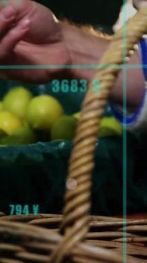 Beyaz kadının dükkanda limon seçmesi üzerine grafik işleme verilerinin animasyonu. Bağlantı, yemek, beslenme, sağlıklı yaşam tarzı, dijital arayüz ve iletişim, dijital olarak oluşturulmuş video.
