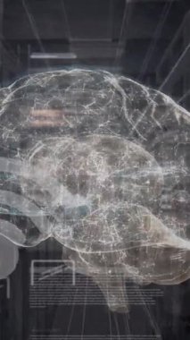 İnsan beyninin animasyonu ve bağlantı ağı üzerinden veri işleme. Küresel bilim, bulut hesaplama ve veri işleme kavramı dijital olarak oluşturulmuş video.