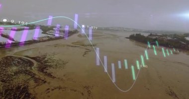 Çamurlu tarım arazisi haritasında kayan kamera solgun çubukları kaplıyor. Değişen çizgiler, trendleri gösteriyor. Sel, tarım, manzara, veri görselleştirme, analitik, hava, çevre