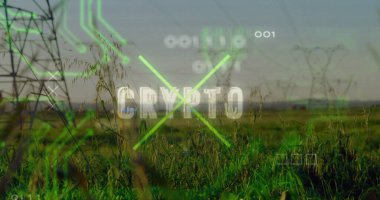 Yeşil çayır üzerinde yüzen CRYPTO metni ve ikili haneli sütunlarla dijital örtüşme gösteriliyor. Gelecekçi, çevre dostu, teknoloji, veri görselleştirme, yenilenebilir, enerji, soyut
