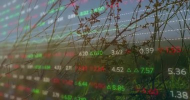 Saniyede alacakaranlık çimenler üzerinde güncellenen keneler, yukarı doğru ilerleyen yeşil çizgi grafiği değer artışını gösteriyor. Finansal, analitik, teknoloji, dijital, veri, yatırım, büyüme
