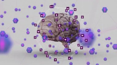 Kablo animasyonu açılıyor. 3 boyutlu beyin dijital bağlantıyı göstermek için veri simgelerini yörüngeye bağlıyor. Gelecek, teknoloji, yenilik, veri, sinirsel, ağ, bağlantı