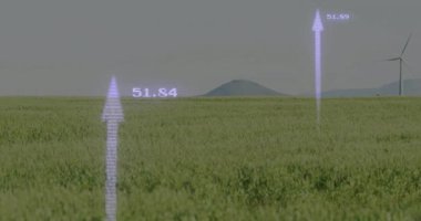 Mor ok çimenli düz oklar üzerinde yükseliyor etiketleri güncelliyor soluyor rüzgar türbinleri ortaya çıkıyor. Vektör, veri, analitik, teknoloji, yenilenebilir, manzara, fütüristik