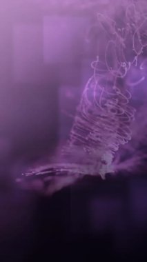 Dalgalı çizgilerin kare şeklinde animasyonları, mor arkaplandaki fotokopi uzayına karşı. Teknoloji arka plan kavramı