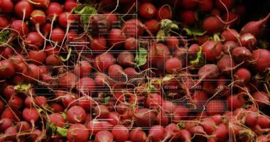 Kırmızı turp yığını dolgu çerçevesi ile başlıyoruz, arayüz taraması kutular, etiketler, ölçüler. Tarım, veri görselleştirme, teknoloji, hasat, üretim değerlendirmesi, kesinlik tarımı, gelecekçi