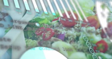 Kaydırma kodu kaydırma çubukları, soluk pasta grafiği, salata tabağındaki düğüm haritası besinleri gösteriyor. Sağlıklı, dijital, yenilikçi, veri görselleştirme, besleyici, modern, teknoloji