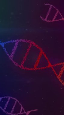 Karanlık arka planda DNA iplikçiklerinin canlandırılması. Küresel bilim, bağlantılar, hesaplama ve veri işleme kavramı dijital olarak oluşturulmuş video.