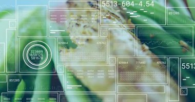 Yakından bakınca ızgara tavuğu soğanlı gösteriyor, üst üste bindirme panelleri analiz için beslenme ölçümlerini güncelliyor. Gıda, teknoloji, analitik, veri görselleştirme, sağlık, yenilik, mutfak