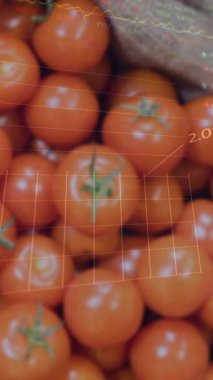 Taze domateslerin üzerinde veri işleme animasyonu. Alışveriş, teknoloji ve dijital arayüz kavramı dijital olarak oluşturuldu.