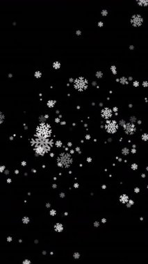 Siyah arka planda yeşil çam dalları üzerine düşen kar taneleri. Kış, Noel, tatil, şenlik, kar, doğa