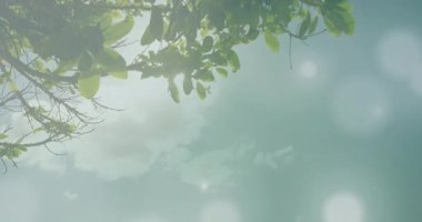 Deniz kenarındaki korkuluklarda öpüşen bir çifti gösteren seyahat çekimi. Yüzen ışık küreleri arasında kameralar yana yatıyor. Doğa, romantizm, sükunet, açık hava, huzur, ahenk, manzara