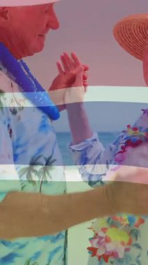 Gambiya bayrağı tropikal sahilde dans eden yaşlı çiftin üzerinde. Okyanus, palmiye, yaz, deniz, dalgalar, son sınıf