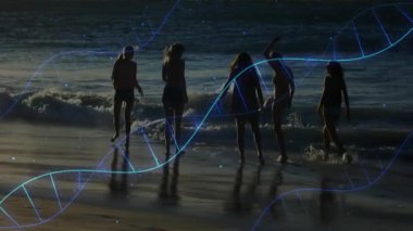 Beş kadın gün batımı sahilinde yürüyorlar ve sağlık için sürüklenen teknoloji sarmalları örmeye başlıyorlar. Siluet, sahil, günbatımı, okyanus, su, arkadaşlık, gündelik