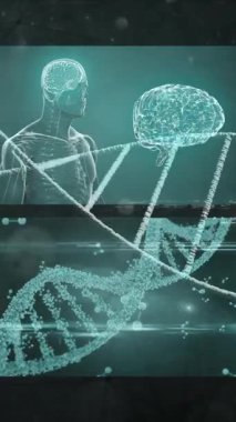 Mavi arka plan üzerinde tıbbi veri işleme ile ekranların üzerinde DNA yapısının animasyonu. Tıbbi araştırma ve bilim teknolojisi kavramı