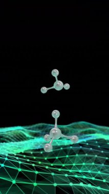 3d mikro molekül animasyonu ve siyah arkaplanda yeşil ağ. Küresel bilim, araştırma ve bağlantılar konsepti dijital olarak oluşturulmuş video.