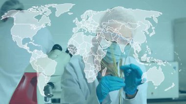 Agriculture researcher lifting wheat stalk into view, map expanding with nodes and inspecting grain. Science, innovation, technology, analysis, discovery, biotechnology, precision