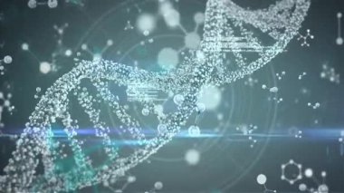 Başlangıçta 3D parlayan DNA sarmalı açılır ve döndürülürken kod görselleştirici verileri örtüyor. Fütürist, dijital, moleküler, soyut, teknoloji, görselleştirme, bilim
